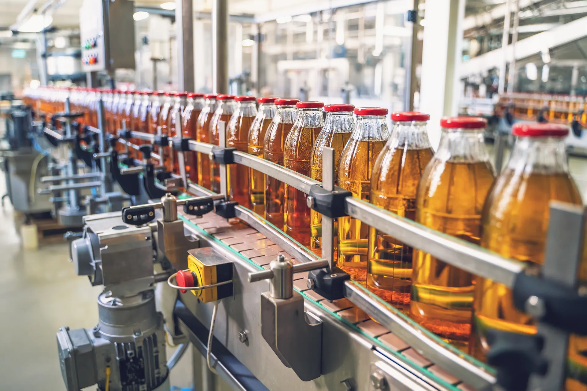Rockerbox Food Processing